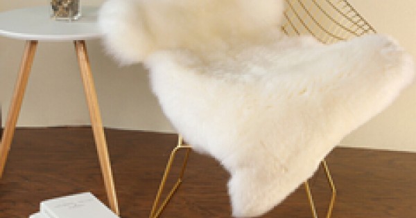 羊皮sheepskin