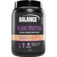 Balance Plant Protein Salted CRML 1kg 有机植物蛋白质粉焦糖味【保质期2026/09】