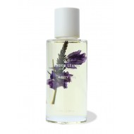 【单瓶包邮】Linden Leaves absolute Dreams Oil 100ml 薰衣草精油【保质期2028/06】