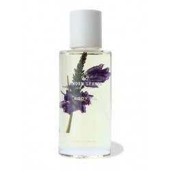 【单瓶包邮】Linden Leaves absolute Dreams Oil 100ml 薰衣草精油【保质期2028/06】