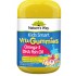 Natures Way Kids Smart Omega3 Dha Fish Oil Trio 佳思敏儿童鱼油DHA水果软糖50粒 【保质期2027/05】