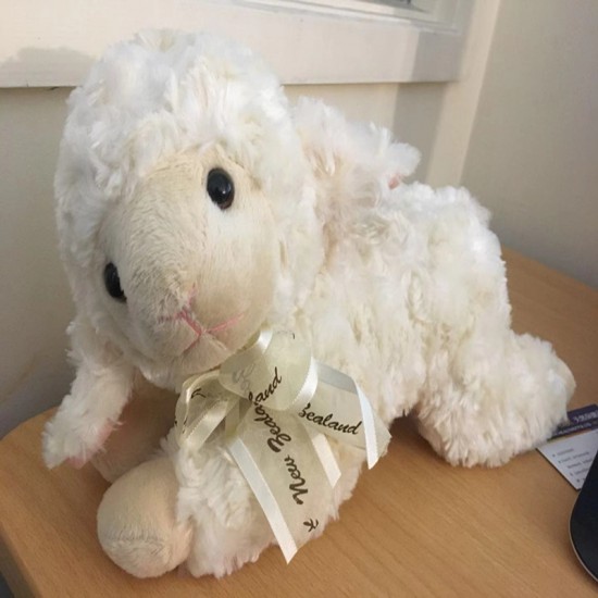 Hallifax Lying Sheep 25cm 躺羊玩偶