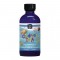 Nordic Naturals 挪威自然 DHA 儿童鱼油 草莓味 119ml 【保质期2028/02】 Nordic Naturals 挪威自然 DHA 儿童鱼油 草莓味 119ml 【保质期2028/02】